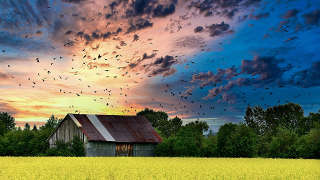 Homestead Opportunity in Covington County