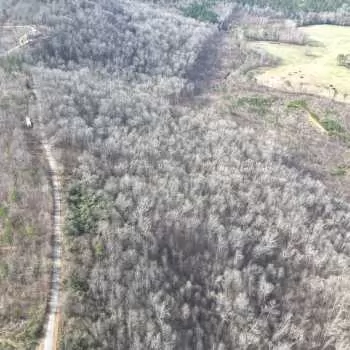 38 +/- Ac - St. Clair Co - Beaver Mountain Tract 1
