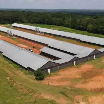 20 Ac- Dale County, AL- Hicks Breeder Farm