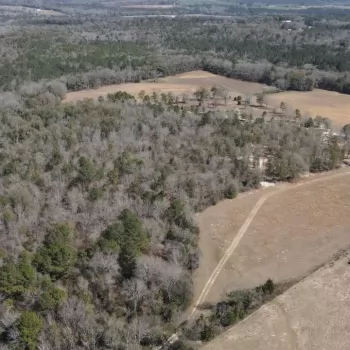 169 +/- acres - Henry County, AL - Haleburg Lodge