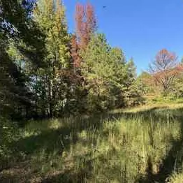 2+/- Acres - Bibb County - Blue Vase Homes