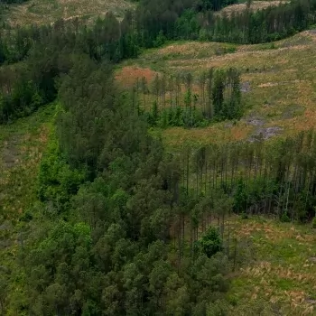 55.08 ac - Chester Co - PT-01 - Recreational & Hunting Tract