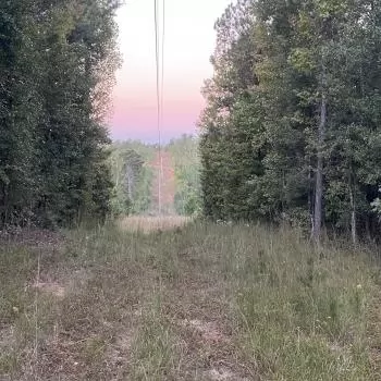 11 +/- Ac. - Chilton County - New Convert Tract North