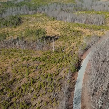 50+/- acres - Chester Co - LH-08