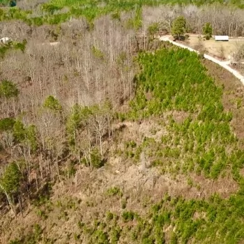 44 Acres- Dallas County-CR 255 Tract