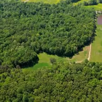 153.63 acres - Madison County - Mifflin Rd