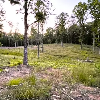 11 Acres - Shelby Co. - Oak Haven Trail Tract