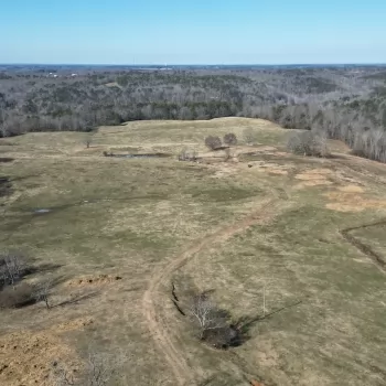 148 +/- Ac - Winston Co - Cattle Farm