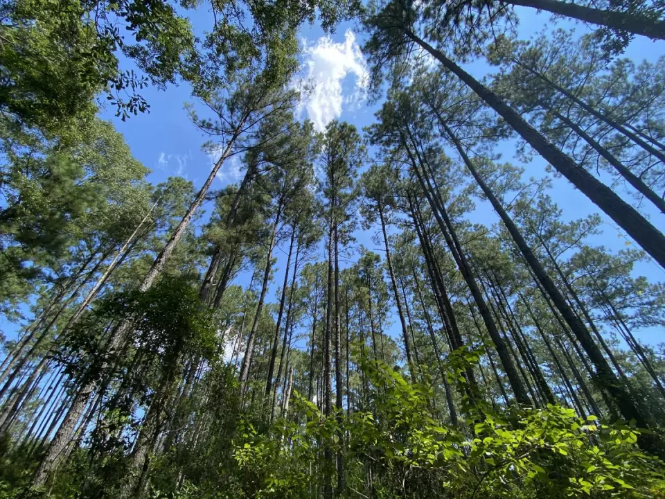 Screenshot 2025-09-12 154943.png