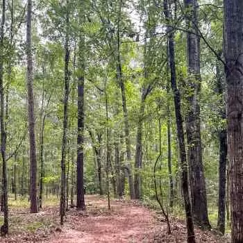 21 Acres - Meriwether County, GA - Tower Rock Estate
