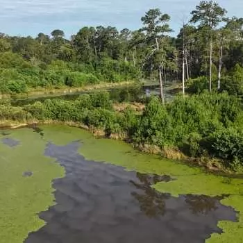 58 Acres - 0 Brantley Hwy - Crenshaw County