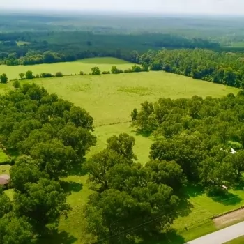 180 Acres-Mobile County-Celeste Rd. Tract