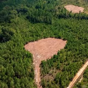 58+/- acres - Chester County - PT-15