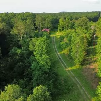 350 +/- Ac - Tuscaloosa County, AL - North River Tract #2