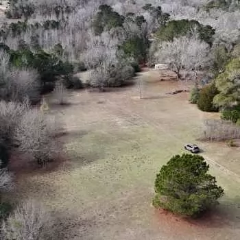 Willow Oaks Tract - 10 Ac - Dale County