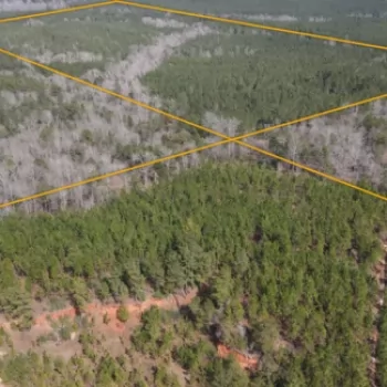 Good Hope Road Tract-83ac-Covington Co., AL