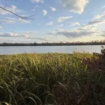 2 Acres-Wilcox County, AL-Legacy Shores Lot #83