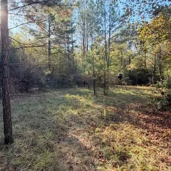 74 Acres - Dozier, AL - Covington County