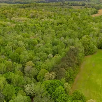 288.65 acres - Chester Co - Deanburg Rd