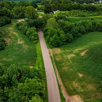 145+/- acres - Obion County, TN - Shawtown Rd Tract 2