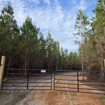 13.1 Ac - Jackson Co, FL - West Pines Mini Farm