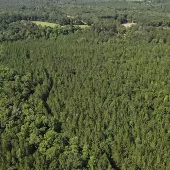 109 Ac- Covington County, AL- Attisano Land