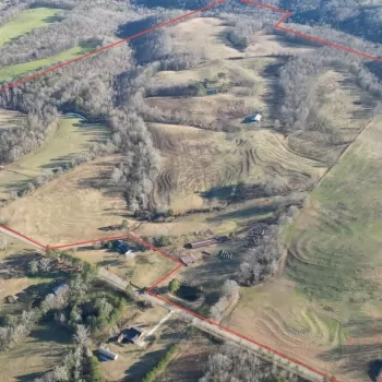 297 +/- Ac - Cullman Co - Logan Farm