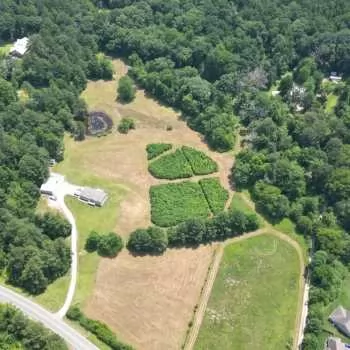 8 +/- Ac - Shelby Co - CR 55 Tract