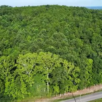 31 +/- Ac - Jefferson County, AL - Old Mt. Olive Road