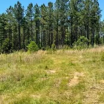 141.5 +/- Acres - Talbot County, GA - Prattsburg  Plantation