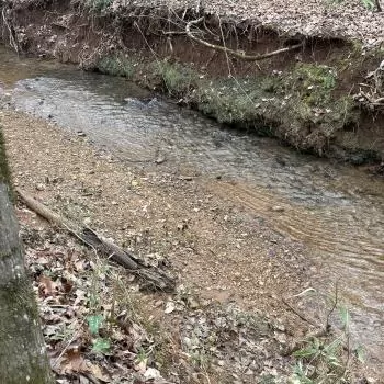 Buck Trails Tract - Parcel 1