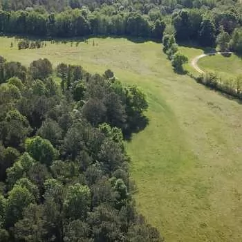 242 +/ Ac - Marengo County - Campground Tract #2