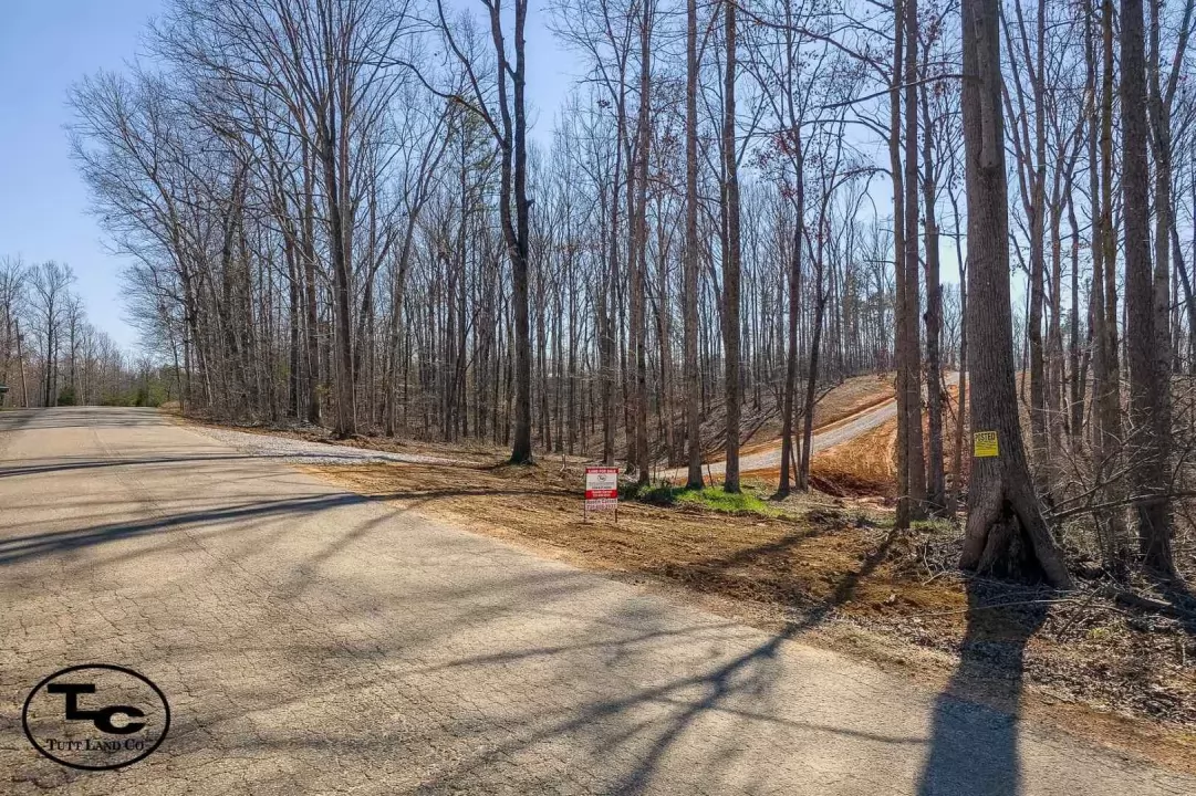 Lonesome Pine-57.jpg