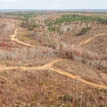 276 +/- Acres - Walker County - King Tract 1