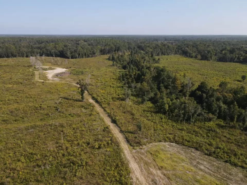 Long Branch Georef.jpg