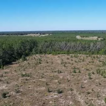 10.32 +/- Acres - Liberty County - Telogia Creek Tract