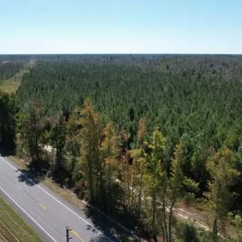 13.75 +/- Acres - Calhoun County - Blountstown Homesite Tract