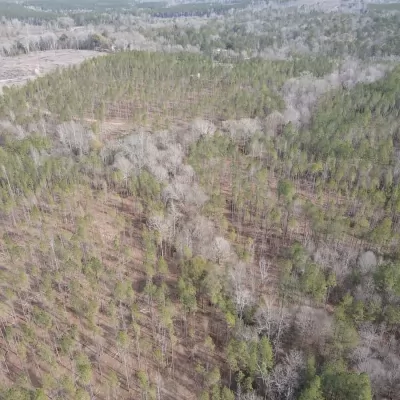 Souwilpa Road Tract- 65ac-Choctaw Co. AL