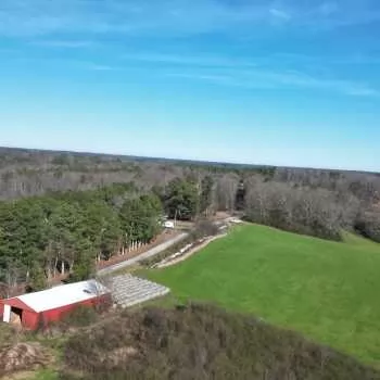 83 Acres - Faulkner Creek Farm - Bear Creek, AL