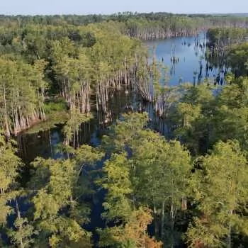 0.5 acre +/- - Jackson County, FL - Ocheesee Pond