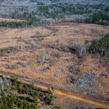 75+/- acres - Chester County - PT-08