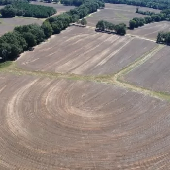 48 +/- ac - Covington County, AL - Rhump Farm Tract