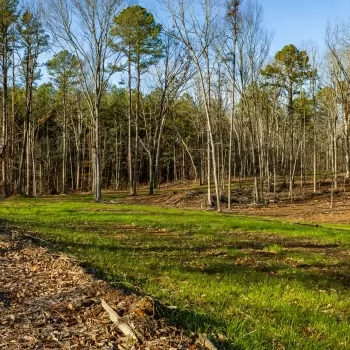 131+/- acres - Hardin County - 7005 Hwy 69