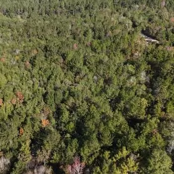 19 Acres - Raymond Loop Dozier - Covington County