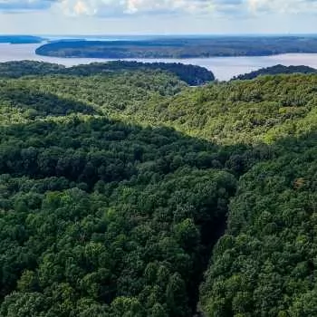 105+/- acres - Hardin County - Anderson Hollow East