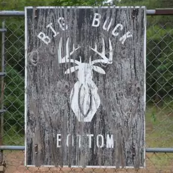 Big Buck Bottom-381ac-Clarke MS