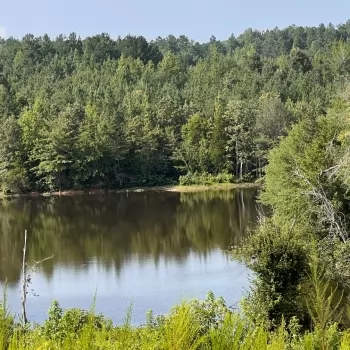 300 +/- Acres - Bibb County, AL - Moeck Tract