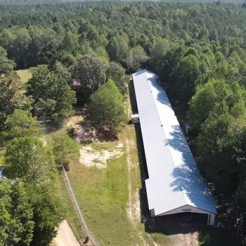 3.5 +/- Acres - Winston County, AL - Daniels Drive Tract