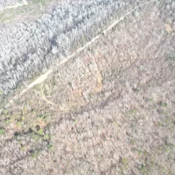 74.41 +/- Ac - St. Clair Co - Beaver Mountain Tract