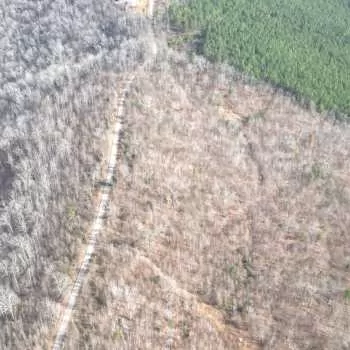 37+/- Ac - St. Clair Co - Beaver Mountain Tract 2